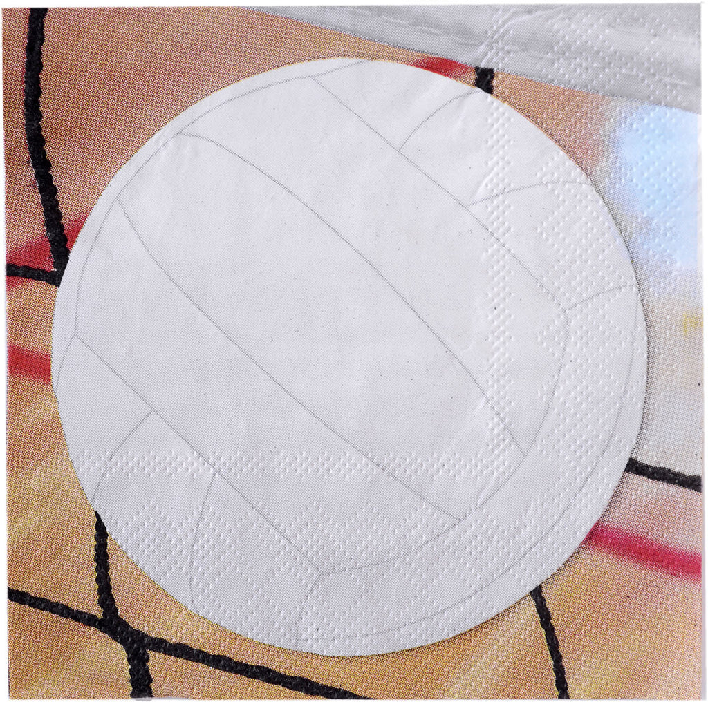 Volleyball Beverage Napkins 16ct - VOLLEYBALL - Party Supplies - America Likes To Party