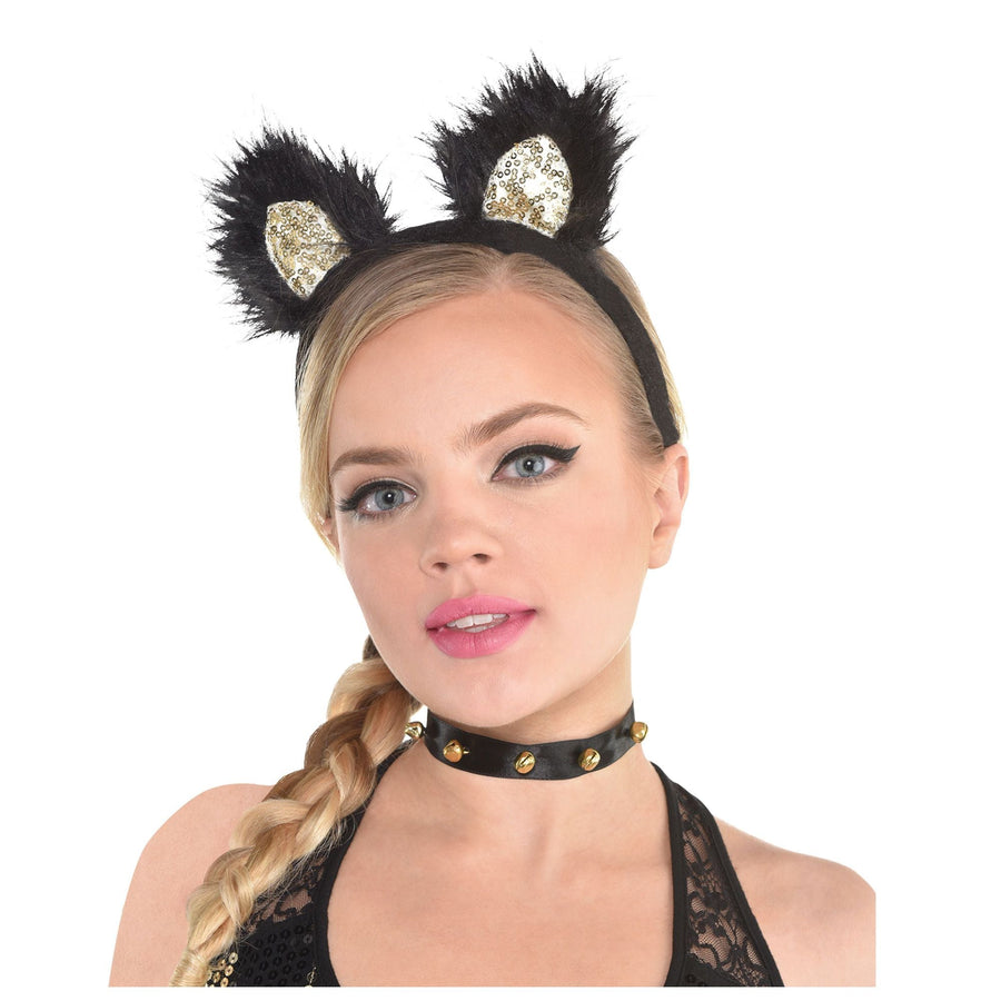 Animal Accessories