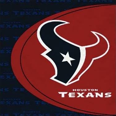 Houston Texans Lunch Napkins 16ct - NFL - Party Supplies - America Likes To Party
