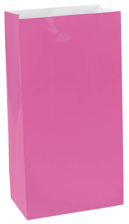 Bright Pink Mini Paper Bags 12ct - FAVOR BAGS/CONTAINERS - Party Supplies - America Likes To Party