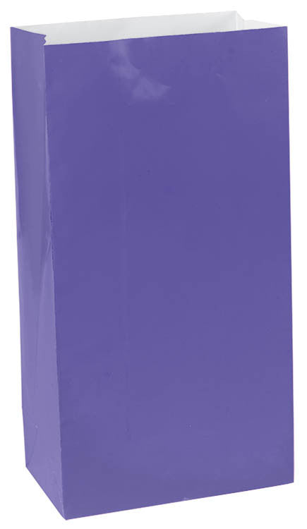 Purple Paper Bags 12ct - FAVOR BAGS/CONTAINERS - Party Supplies - America Likes To Party