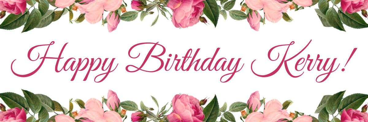 Pink Roses Banner – Party America